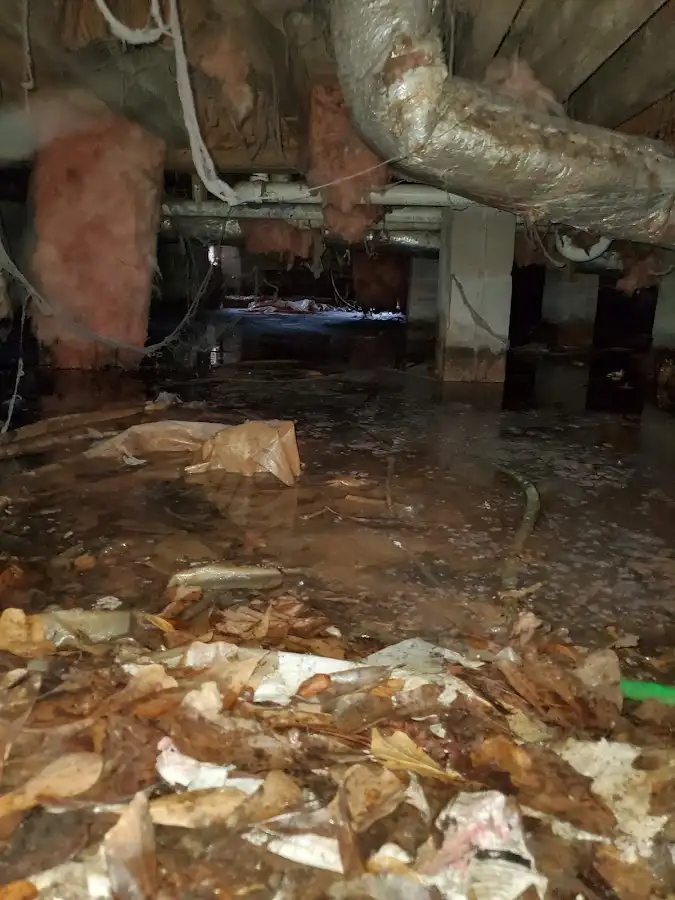 Crawl space flood assessment for Leak Detection & Repair in Aransas Pass